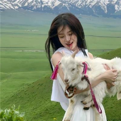 盗贼泰瑞莎